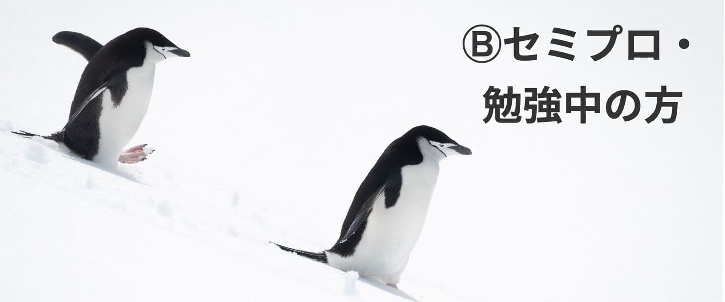５回メンターのBコース。「セミプロまたは勉強中の方」向け