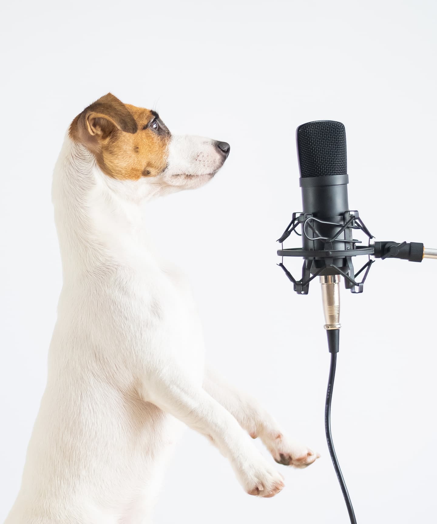 ごりっぱスタジオの収録ブース